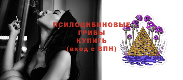 прущие грибы Красноперекопск