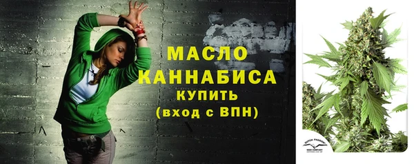 прущие грибы Красноперекопск