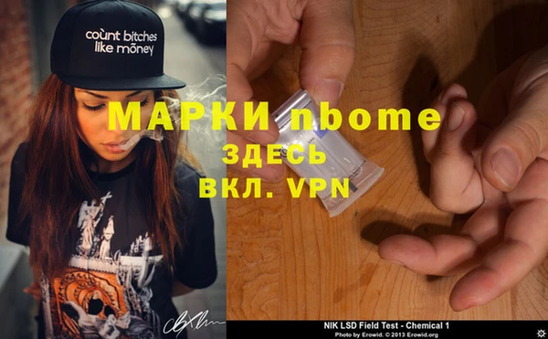 прущие грибы Красноперекопск
