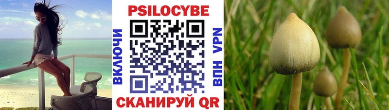 Псилоцибиновые грибы MAGIC MUSHROOMS Купить Малоархангельск